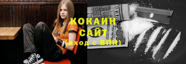 сатива Балахна