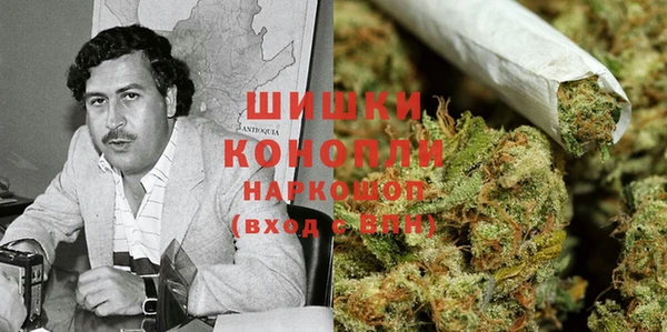сатива Балахна