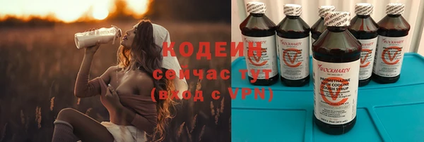 сатива Балахна