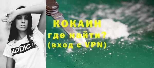 сатива Балахна