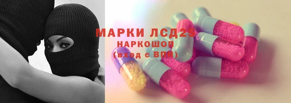 сатива Балахна