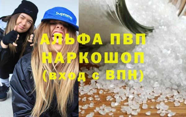 сатива Балахна
