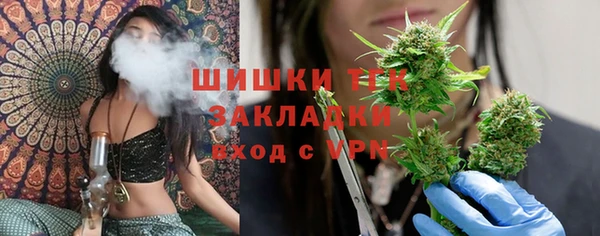 сатива Балахна