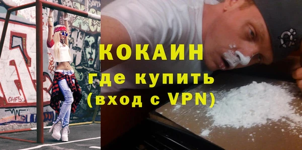 сатива Балахна