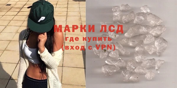 сатива Балахна