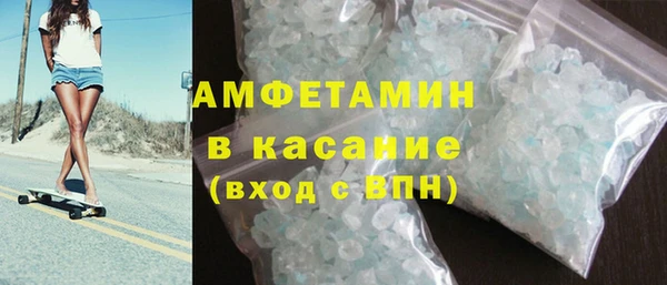 сатива Балахна