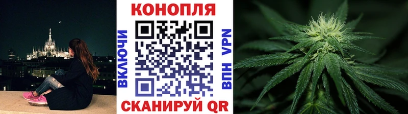 хочу mega маркетплейс Бошки марихуана сатива Луховицы